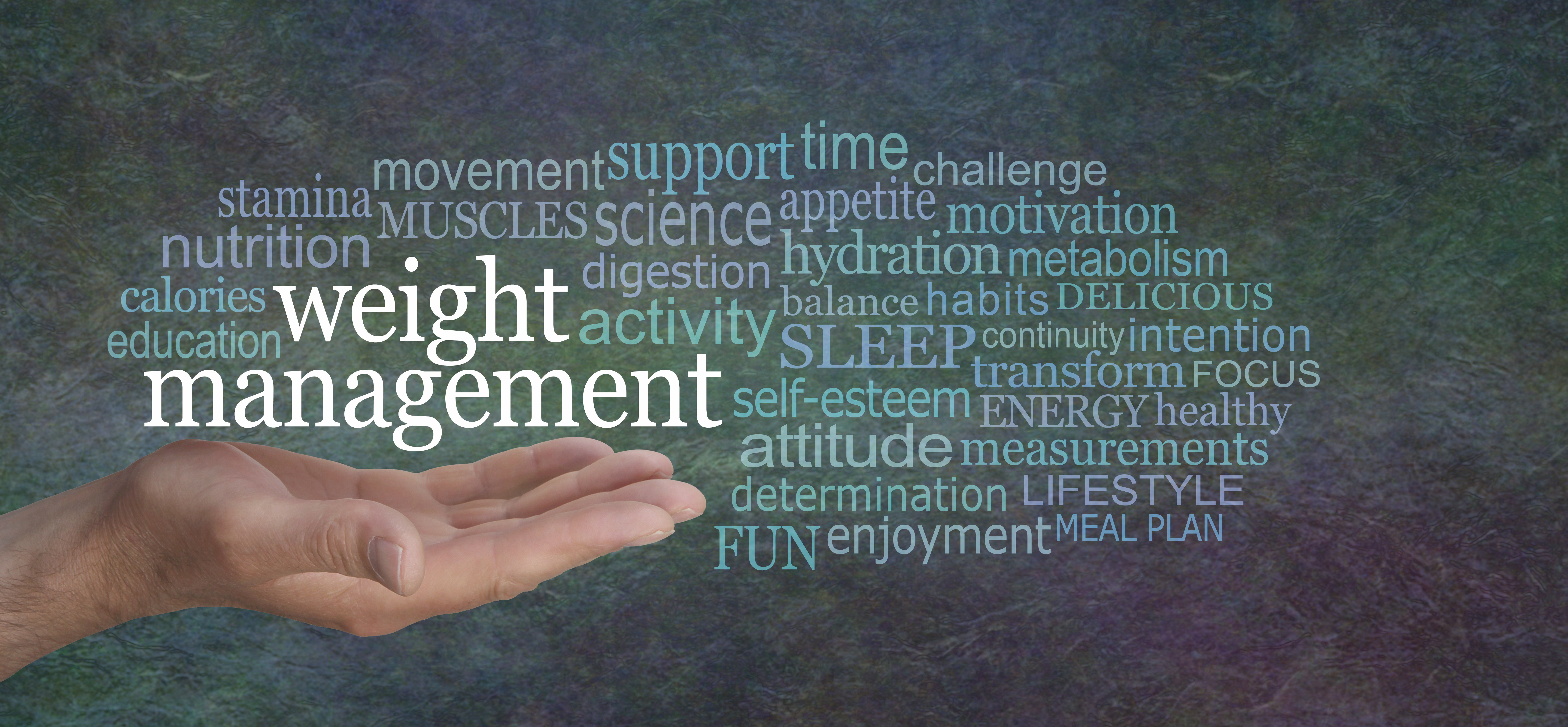 Weight Management Program - Craving Change